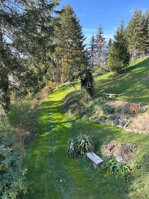 Exclusiv Im Erzgebirge Daire Amtsberg Dış mekan fotoğraf